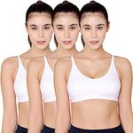 BODYCARE Women's Cotton & Spandex Padded Non-Wired Sports Bra (Pack of 6) (E1608WWW-34B_White_34)