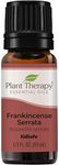 Plant Therapy Frankincense Serrata Essential Oil. 100% Pure, Undiluted, Therapeutic Grade. 10 mL (1/3 Ounce).