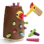 TOP BRIGHT Toddler Magnetic Bird Toys For 2+ Year Old Boy Girl, Montessori Educational Toy Gift Pretend Play Game Children Learning Sensory Toys for Kids Age 2 3 4