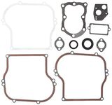 Briggs and Stratton 555210 Gasket Set Lawn Mower Replacement Parts