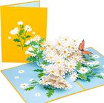 PopLife Daisy Flowers Pop Up Mother's Day Card - 3D Anniversary, Pop Up Birthday Card, Thank You, Congratulations, Valentine's - for Mom, for Daughter, for Wife, for Grandma, for Stepmom