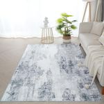 BRICHOEE Abstract Distressed Area Rug, Soft Grey Modern Area Rugs 5x7, Faux Wool Carpet Aesthetic Machine Washable Indoor Rugs for Living Room Bedroom Dining Room