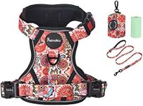 Petmolico No Pull Dog Harness Set, 