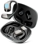 AI Translation Earbuds Real Time In