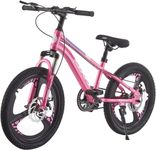 BSTSEL Kids Bike 20Inch Youth Bike Shock Absorber Bike,12.25-Inch Frame,V-Brakes,Suitable for 9-14 Year Old Boys and Girls Mountain Bikes Pink Blue Bicycle (Pink)