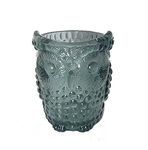 GreeniFi Premium Glass Owl Planter (Without Drainage Hole) for Multiple Usage Like Candle Holder/Brush Holder/Pot/Planter for hrdroponic Plants, Tinted Grey with The Size of 4x3.5x3.5 inches