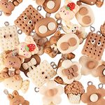 Airssory 32 Pcs 16 Styles Chocolate Cream Color Resin Bear Rabbit Popcorn Candy Flower Small Charms Cookies Wafer Biscuits Charm for Jewery Making DIY Keychain