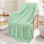 Exclusivo Mezcla Large Flannel Fleece Throw Blanket, 127x178 CM Sofa Throws, Soft Jacquard Weave Leaves Pattern Throws for Sofa, Mint Green Blanket