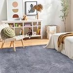 FVVRAX Area Rugs Living Room Rug, Soft Fluffy Shaggy Bedroom Rug Floor Carpet with Durable Anti-slip Backing, Large Carpets for Kids Girls Dorm Nursery Bedside Rug, 122x183cm, Grey