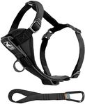Kurgo Dog Harness | Pet Walking Harness | Small | Black | No Pull Harness Front Clip Feature for Training Included | Car Seat Belt | Tru-Fit Quick Release Style