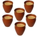 Pure Source India Clay Coffee Cup - 6 Pieces, Brown, 150 ml