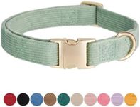 Petiry Green Dog Collar with Safety