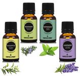 Earth N Pure Lavender, Rosemary, Peppermint & Eucalyptus Essential Oils | Pack Of 4 (15 ml each) | 100% Pure, Undiluted, Natural And Therapeutic Grade - Perfect for Aromatherapy, Skin Therapy & More