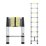 Telescoping Ladders