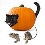 Prextex Creepy Furry Cat & Rat Heads & Tails for Indoor and Outdoor Pumpkin Halloween Decorations | Cat/Rat Spooky Pumpkin Ornaments for Pumpkin Props and Jack-O-Lantern Party Decor (2pack/4pieces)