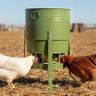 KOL Chicken Feeder No Waste for Coop & Outdoors, 16 Port 50lbs Poultry Feeder with Spill-Control Design, Rust-Proof Powder Coated Metal & Smooth Safe Edges (Avocado Green)
