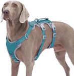 Dog Harnesses Escape Proof, No Slip