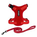 Best Pet Supplies Voyager Step-in Lock Pet Harness - All Weather Mesh, Adjustable Step in Harness for Cats and Dogs Red, XXS