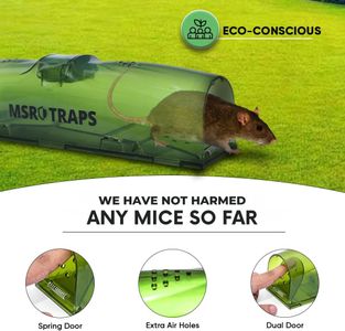 MSR XL Humane Mouse Traps, 2-Pack – Extra Large Rodent Catcher