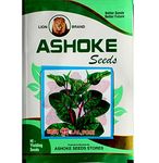 ASHOKE Seeds Lal Poi Saag Seeds Malabar Spinach Seeds Spinach Seeds for Home Kitchen Gardens Farms | All Season Vegetable Seeds | High Yielding | Hybrid Seeds (200+ seeds per packet)