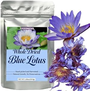 Lotus Flow