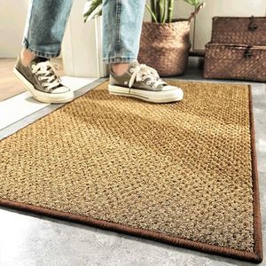 Indoor Door Mat Courtyard Collection Accent Rug Non-Shedding Easy Care, Indoor Outdoor Washable-Ideal for Patio, Backyard, Mudroom Brown 45X75cm