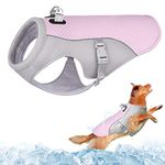 Dolahovy Dog Cooling Vest Harness,Breathable Mesh Dog Cool Jacket Adjustable Summer Dog Coat Reflective Safety Ice Clothes for Large Medium Small Dogs Walking Outdoor