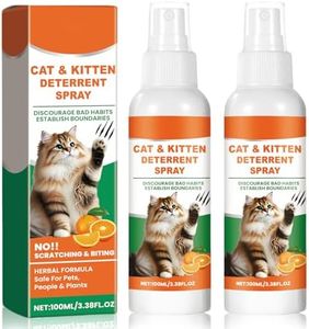 2 Pack Cat