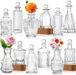 Glass Vase Bud Vases in Bulk Set of