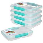 Sistema 5-Piece Food Storage Containers with 3 Compartments and Lids for Meal Prep, Dishwasher Safe, 11.8oz, Clear/Green, Pack of 5