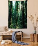 Ambesonne Nature Tapestry, Sunset in Woods Sun Beaming Through Forest Trees Wilderness Scenery, Wall Hanging for Bedroom Living Room Dorm Decor, 60" X 80", Forest Green Pale Yellow