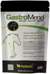 GastroMend