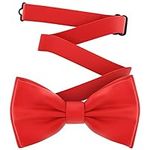 Adam Young Men's Scarlet Bow Tie Pr