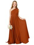 MCieloLuna Summer Chiffon Junior Bridesmaid Dress for Wedding One Shoulder Flower Girl A-Line Dress Formal Evening Party Gown, Burnt Orange, 4