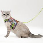 Patipatron Cat Harness and Leash Set, Cats Escape Proof - Adjustable Kitten Harness for Large/Medium/Small Cats, Walking Travel Petsafe Harness (Ethnic Green, Large)