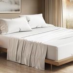 THREAD SPREAD 100% Egyptian Cotton 