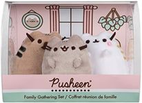 Pusheen Fa