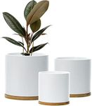 Matt White Set 3 Ceramic Plant Pots