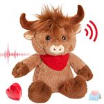 CozyWorld 12.5" 32CM Heartbeat Highland Cow Recordable Stuffed Animals Voice Sweet Messages Recorder Soft Plush Toy Playback Your Words Birthday Gifts for Toddler Kids