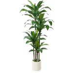 Kazeila Artificial Dracaena Plant 180cm Fake Tall Tree with White Planter,Faux Dragon Tree Plant Indoor Floor Porch Home Decor Office Living Room,1Pcs