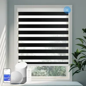 COOLWINDS Motorized Zebra Blinds for Windows Cordless Electric Curtains with Remote Control Blackout Shades Custom Smart Blinds Compatible with Alexa Google Home(Light Filtering Black,Customize)