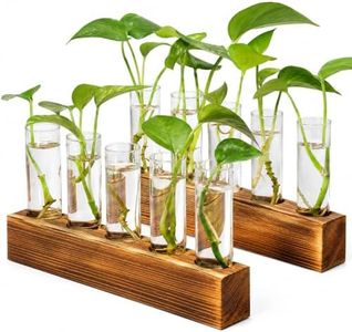 Renmxj Plant Propagation Station, 10 Glass Test Tube with Wooden Stand