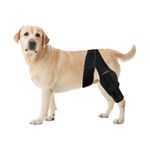SKENGWEL Dog Knee Brace for Hind Leg, Dog Knee Brace for Torn ACL Leg, Adjustable Dog Hip Support for Luxating Patella, Adjustable ACL Recovery Aid for Dog Back Legs