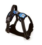 PetzMotion No-Pull Safety Dog Harness, Adjustable Reflective Outdoor Pet Vest with Handle, Durable Breathable Material (M - Medium, Blue)