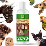 Congo® 200ml Wheat Germ Oil Natural Vitamin E with Moringa for Birds, Cats, Dogs, Horse and Other Pets