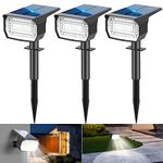 Solar Landscape Lights