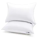 CozyLux Pillows Queen Size Set of 2