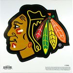 NHL Siskiyou Sports Fan Shop Chicago Blackhawks Logo Magnets 8 inch sheet Team Color