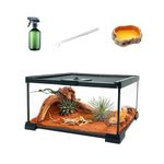 Reptile Glass Terrarium kit，12"x8"x6"Terrarium Enclosure Amphibians Tank Cage with Magnetic Sliding Door for Small Reptiles, Amphibians and Invertebrates.