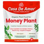 Casa De Amor Money Plant Essential Organic Plant Food Powder, Heathier Greener And Shinier Leaves For Indoor And Outdoor Gardening (900 Gram)